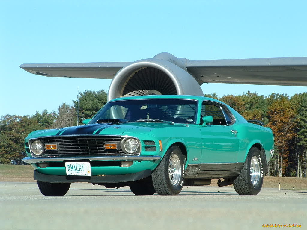 , mustang